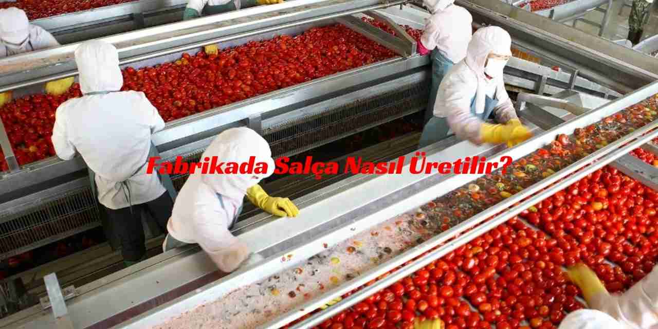 Fabrikada Salça Nasıl Üretilir?