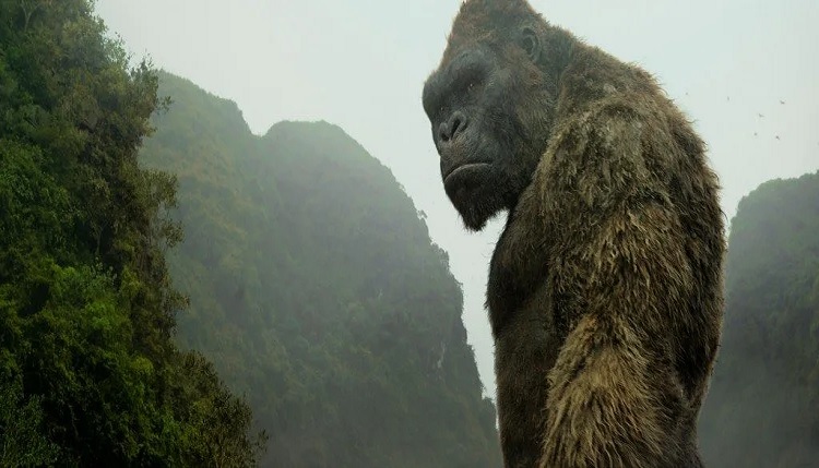 İnceleme 'Kong Kafatası Adası' Hype'a Kadar Yaşamıyor! Kong Kafatası Adası filmi nerede çekildi?