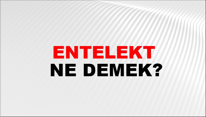Entelekt Nedir? Entelektin Tanımı