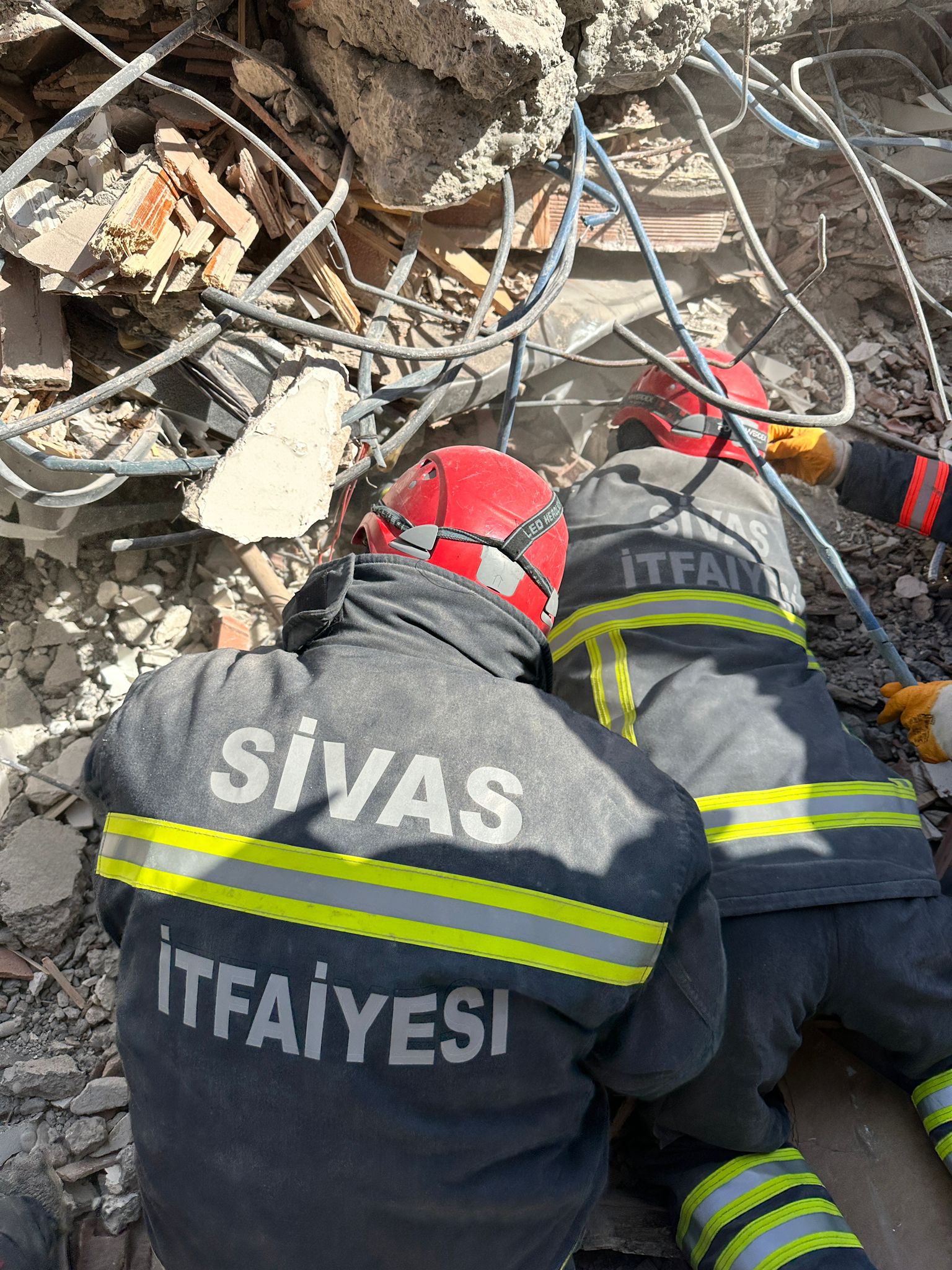 Malatya'da 180 saat sonra enkazdan kurtarılan kedi tedaviye alındı