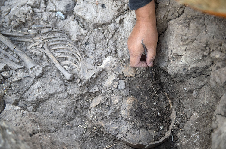 Arkeologlar Türkiye'nin Tozkoparan Höyüğü'nde çocuk iskeleti buldu